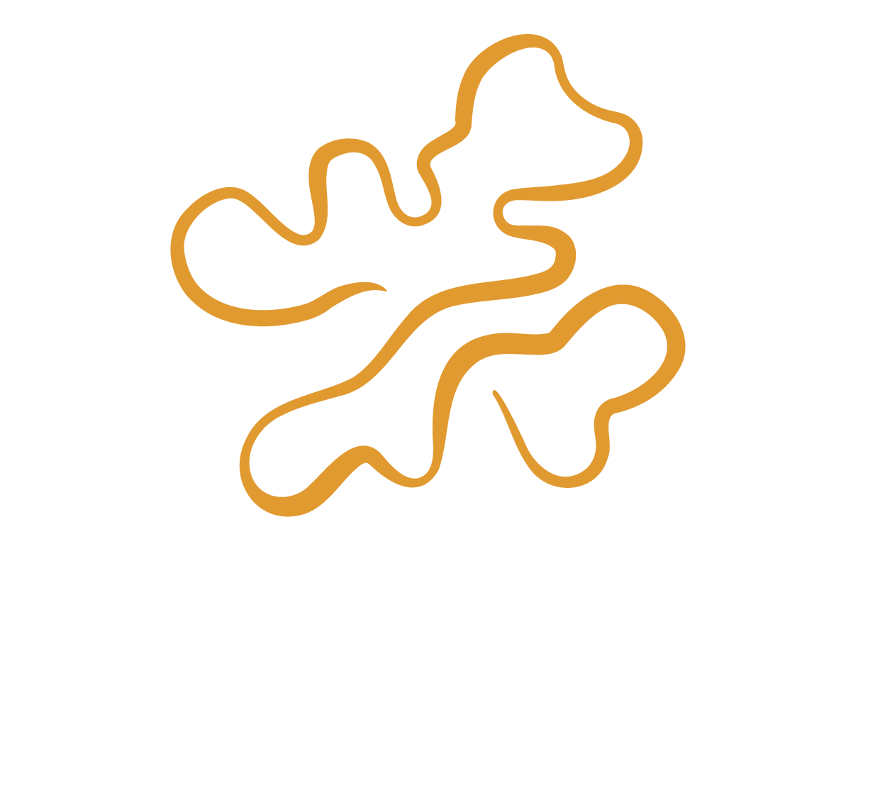 Bocerno